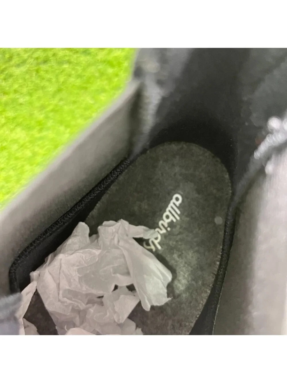 allbirds please review
